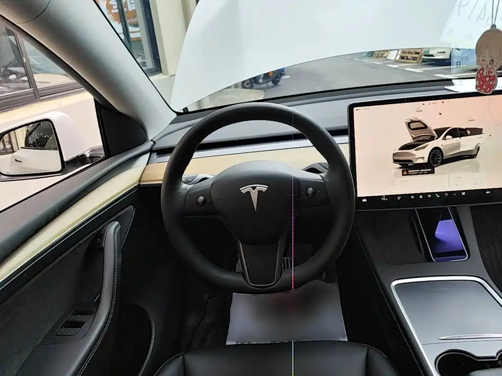 Tesla Model Y — миниатюра 11