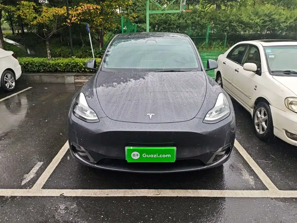 Tesla Model Y — миниатюра 3