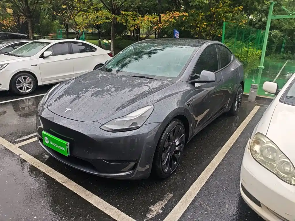 Tesla Model Y — миниатюра 2