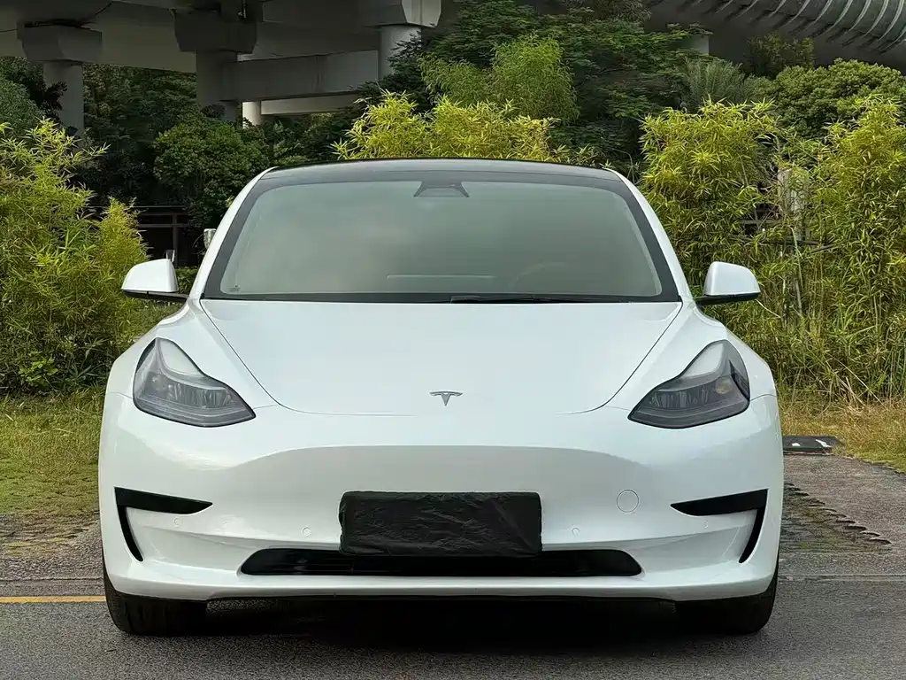 Tesla Model 3 — миниатюра 2