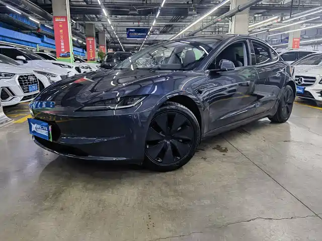 TESLA MODEL 3 2025