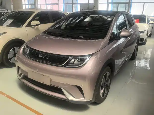 2024 BYD Dolphin
