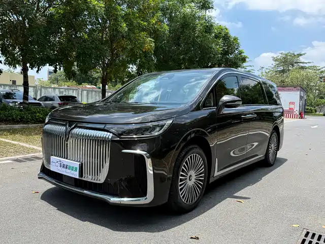 2024 Voyah Dream