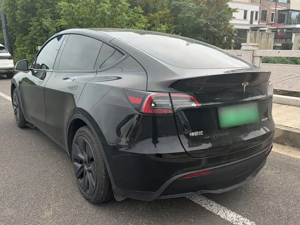 Tesla Model Y — миниатюра 18