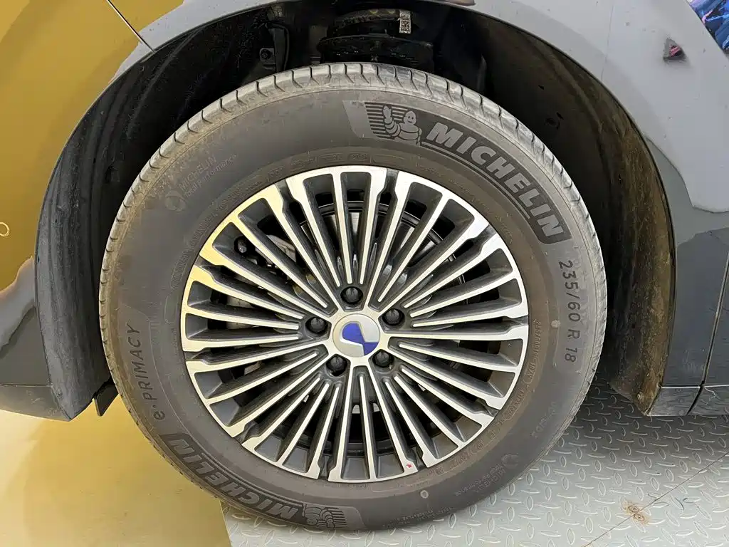 Denza Denza D9 — миниатюра 9