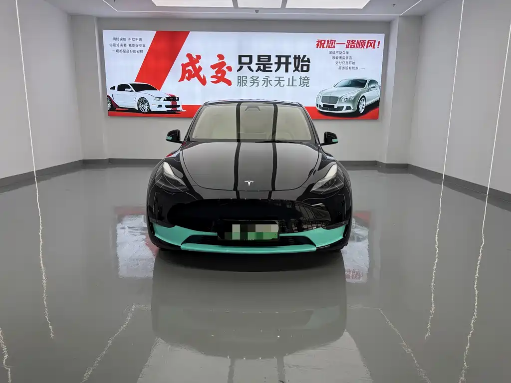 Tesla Model Y — миниатюра 2