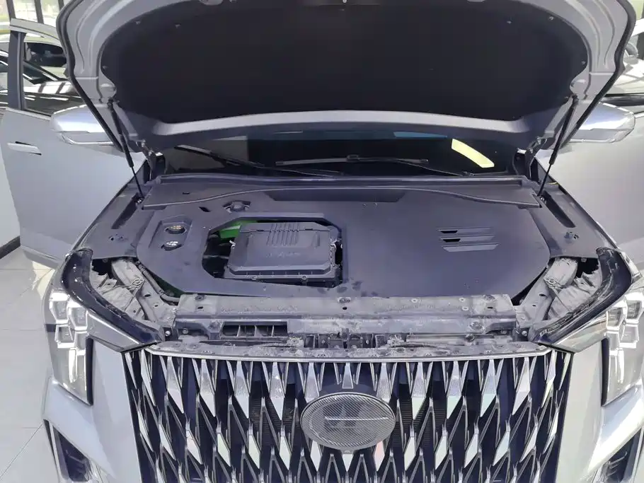 GAC Motor Trumpchi ES9 — миниатюра 10