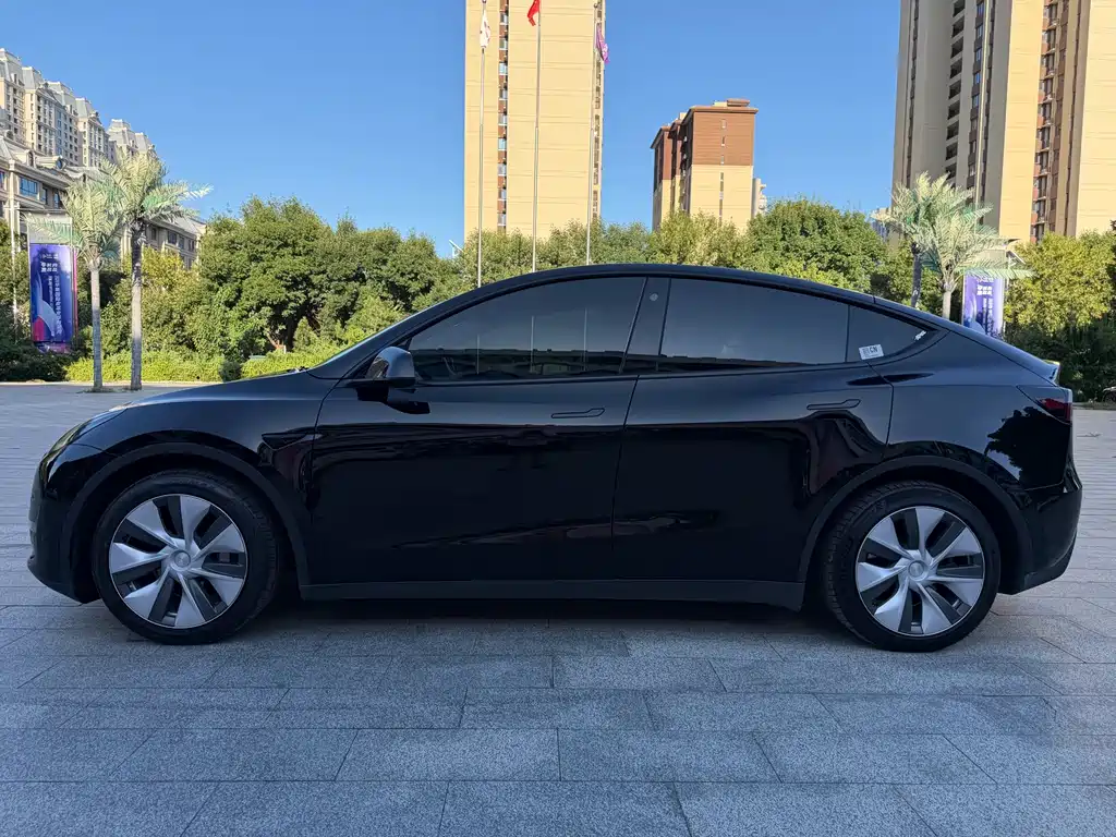Tesla Model Y — миниатюра 3