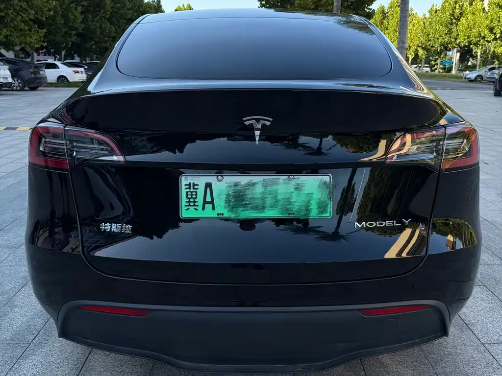 Tesla Model Y — миниатюра 5