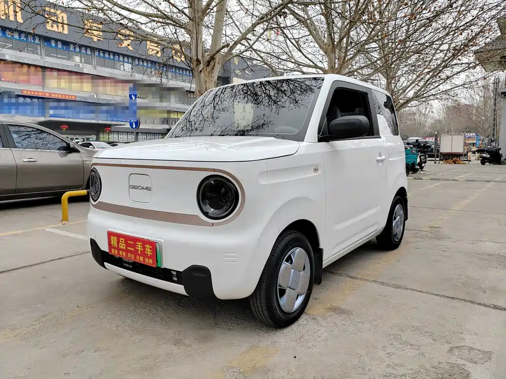 GEELY GALAXY PANDA
