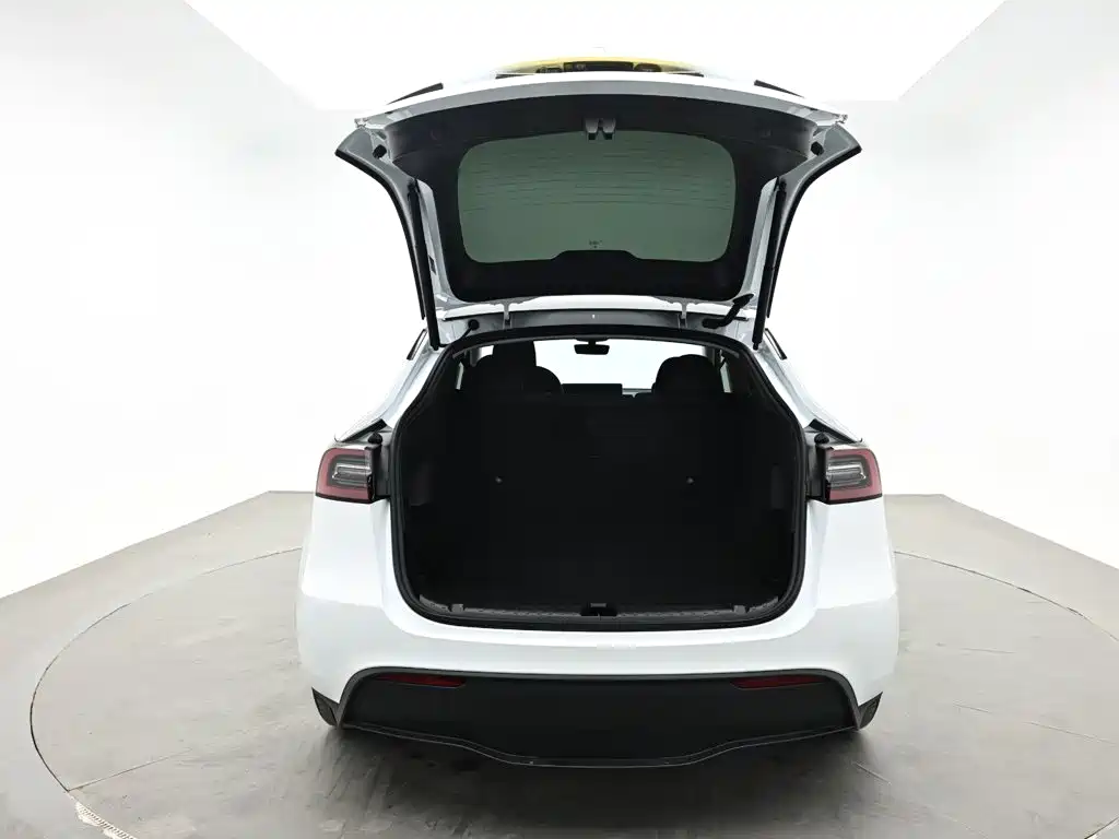 Tesla Model Y — миниатюра 8