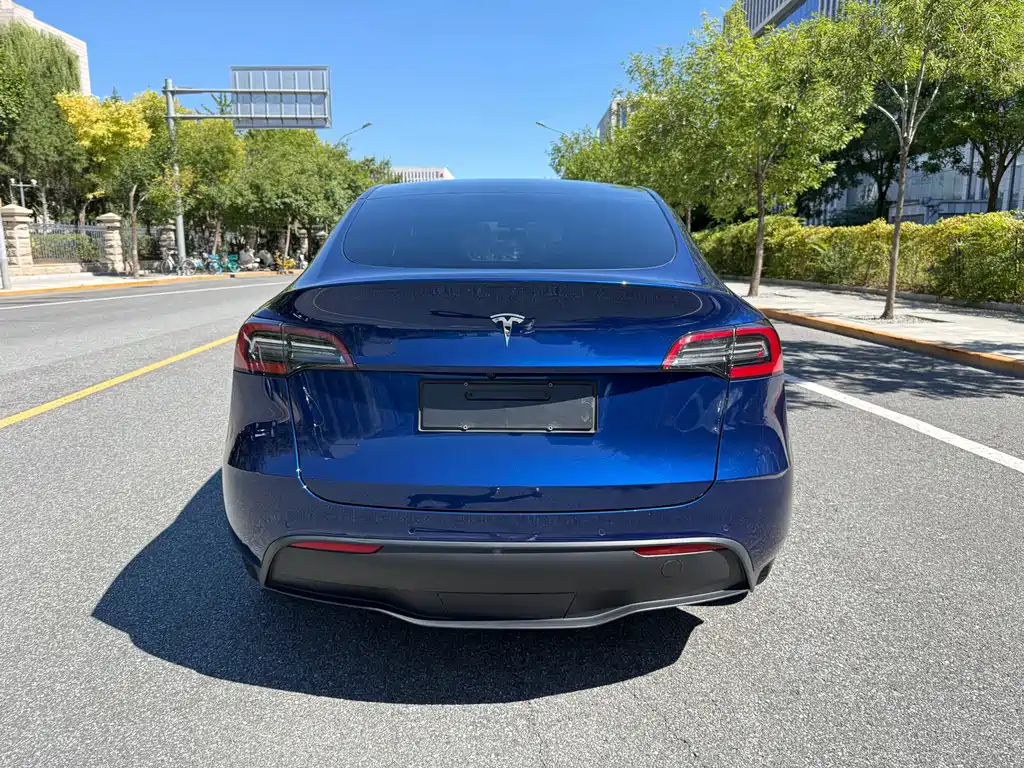 Tesla Model Y — миниатюра 7