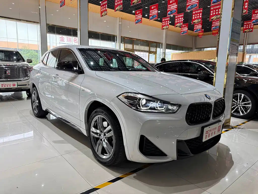 BMW X2 sDrive25i M Sport Night Edition, фото 3