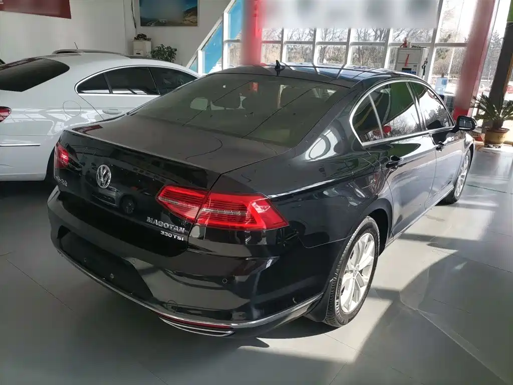 Volkswagen Magotan 2019 330TSI DSG Luxury VI