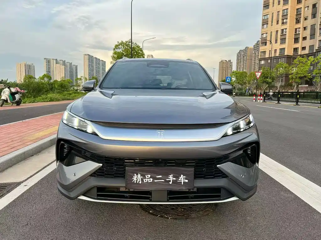 BYD Pro New Energy — миниатюра 2