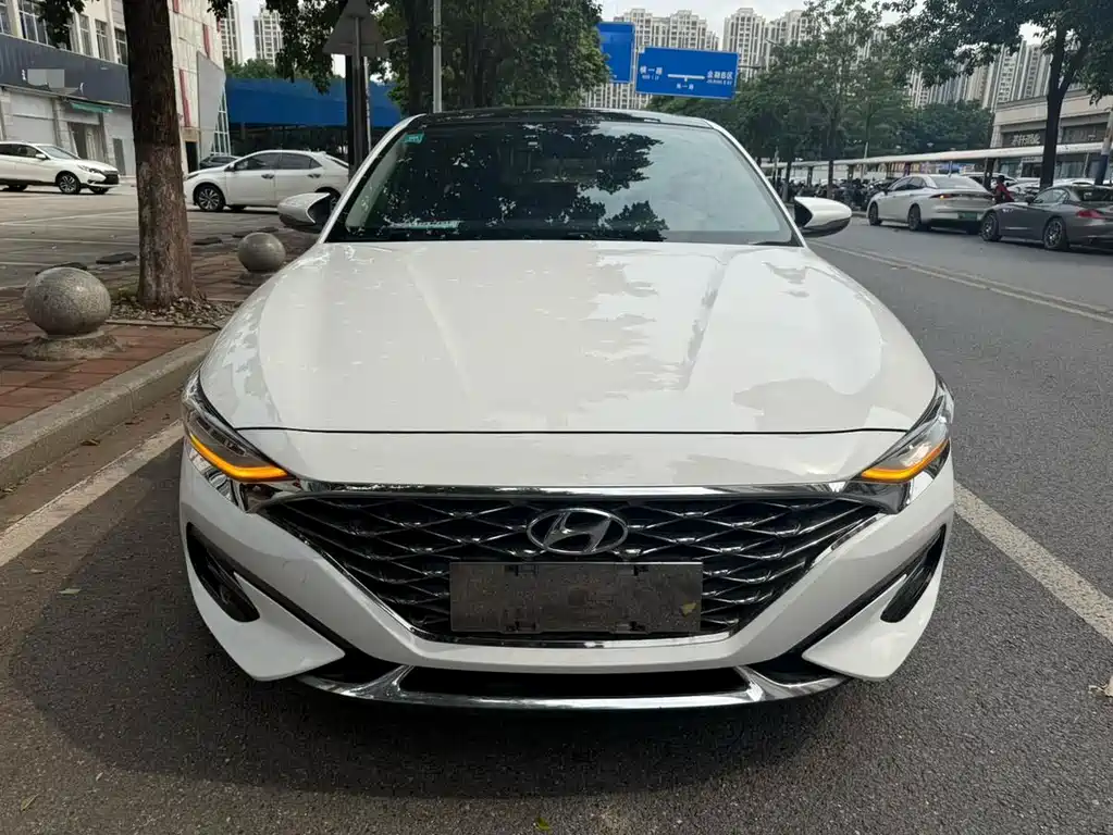 Hyundai Fista — миниатюра 2