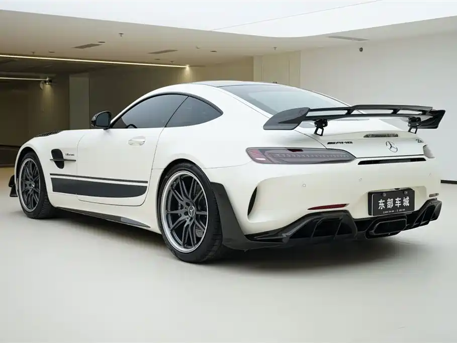 Mercedes-Benz A MG GT 2019 AMG GT R PRO