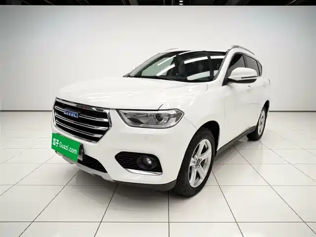 2019 Haval H2