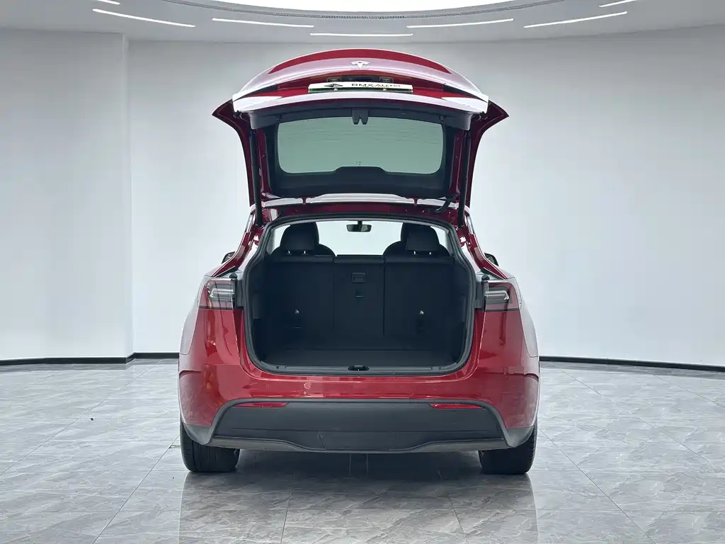 Tesla Model Y — миниатюра 2