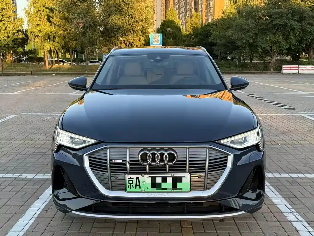 Audi e-tron (Import) — миниатюра 2