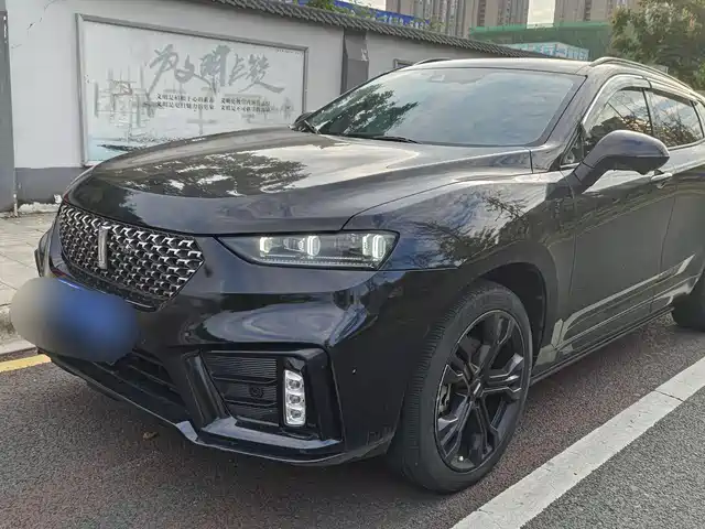 WEI PAI WEI BRAND VV7 2017