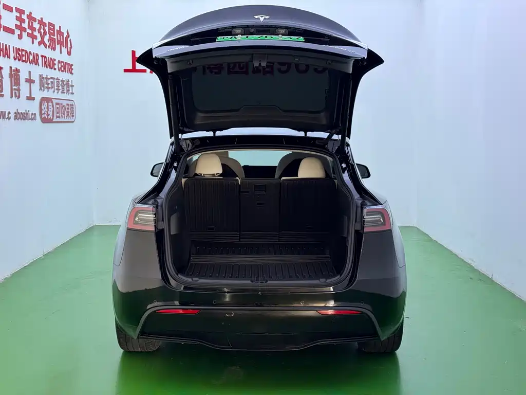 Tesla Model Y — миниатюра 22