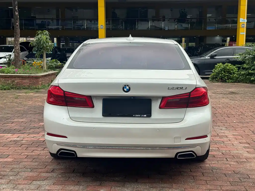 BMW 5 Series 5 2018 530Li Lead Luxury
