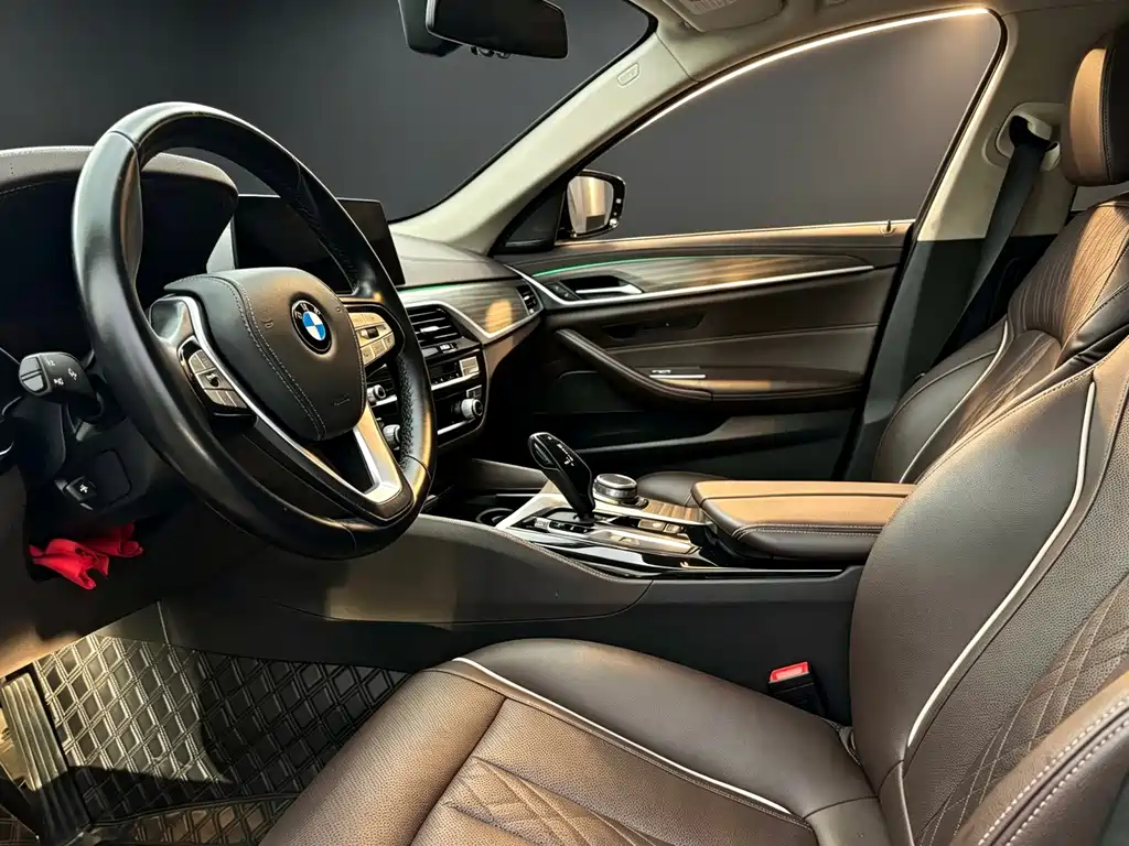 BMW 5 Series 5 2020 530Li Premium Luxury