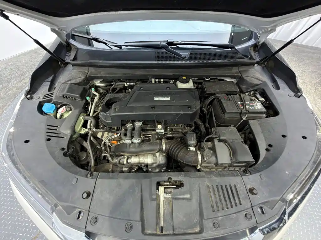 Honda Avancier — миниатюра 4