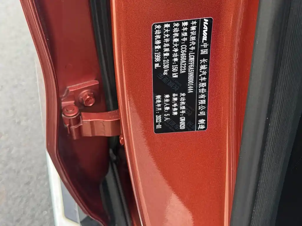Haval Dargo 2.0T DCT 4WD Chinese Rural Dog Edition, фото 10