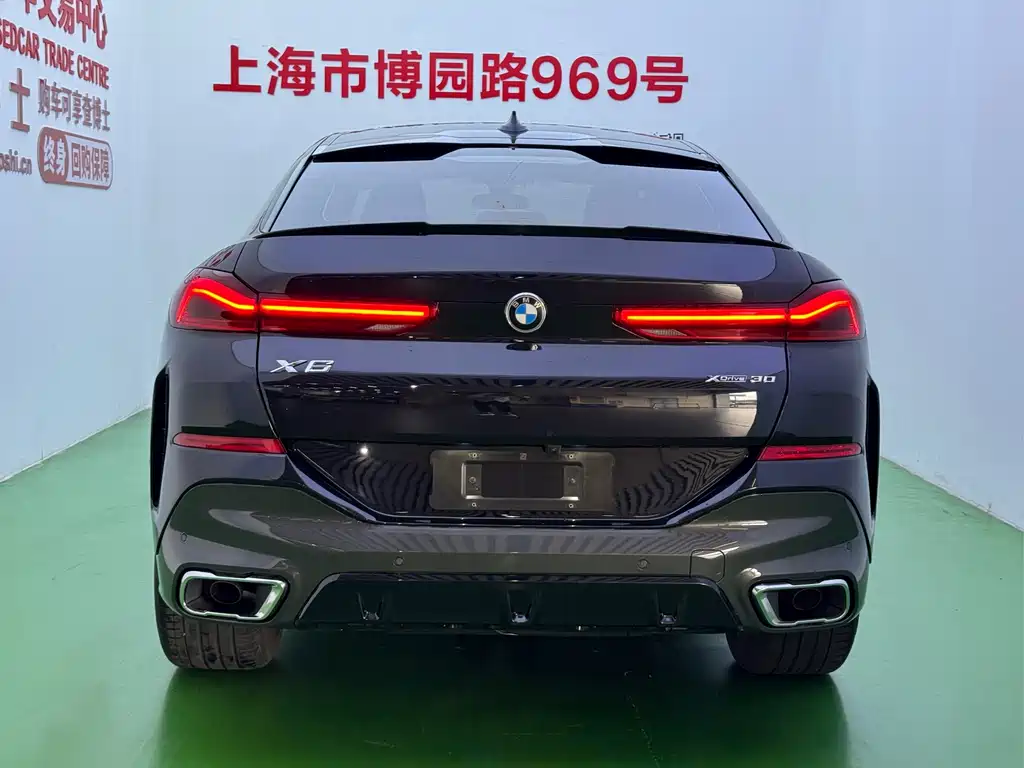 BMW X6 — миниатюра 32