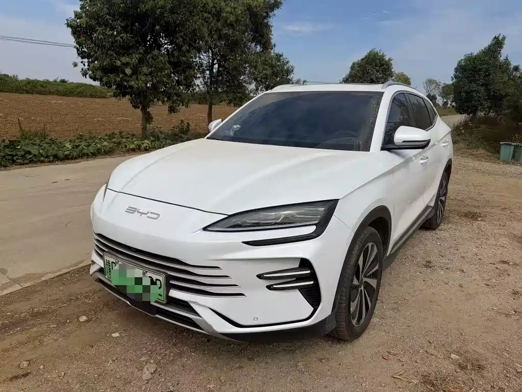 BYD PLUS New Energy