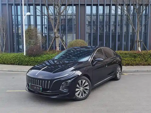 Hongqi HONGQI E QM5 2023