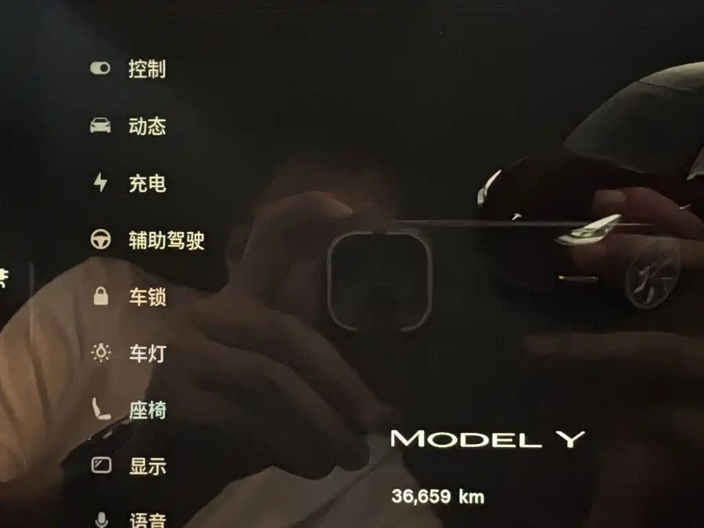 Tesla Model Y — миниатюра 8