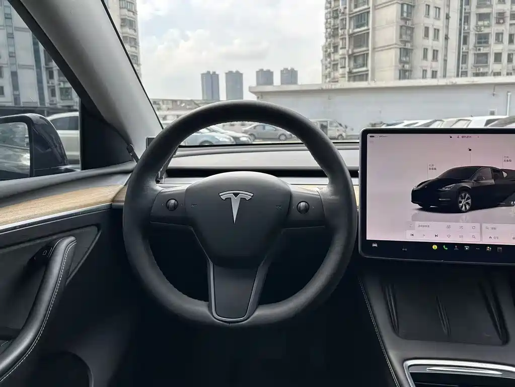 Tesla Model Y — миниатюра 15