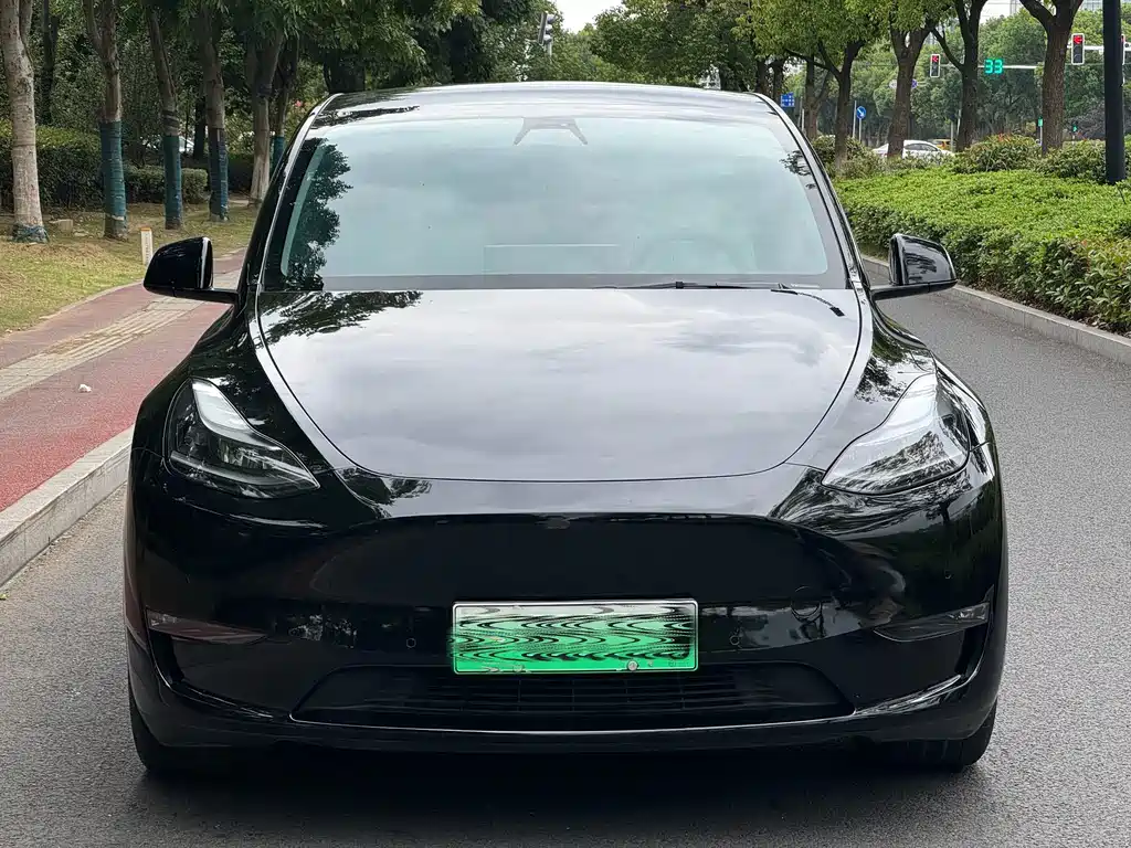 Tesla Model Y — миниатюра 2