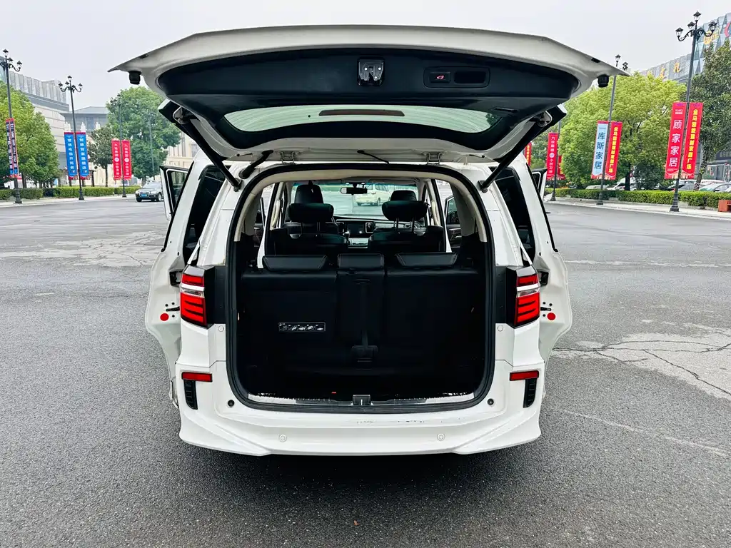 Honda Elysion — миниатюра 10