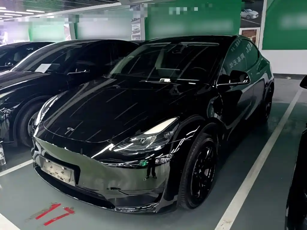 Tesla Model Y — миниатюра 2