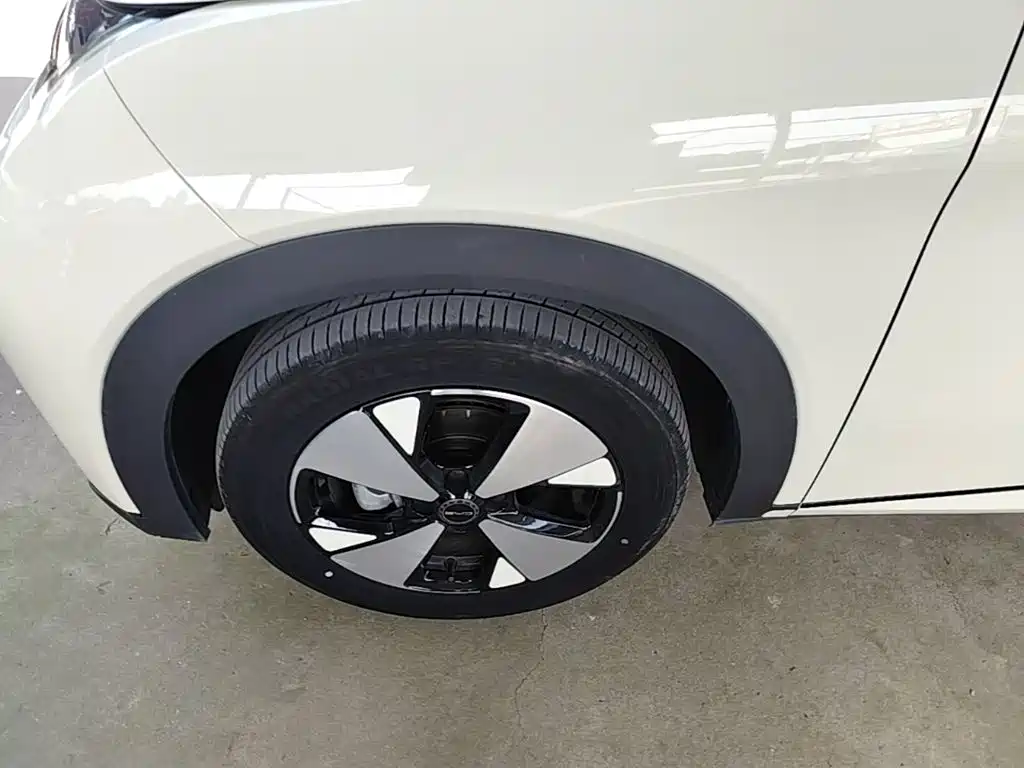 BYD Dolphin — миниатюра 23