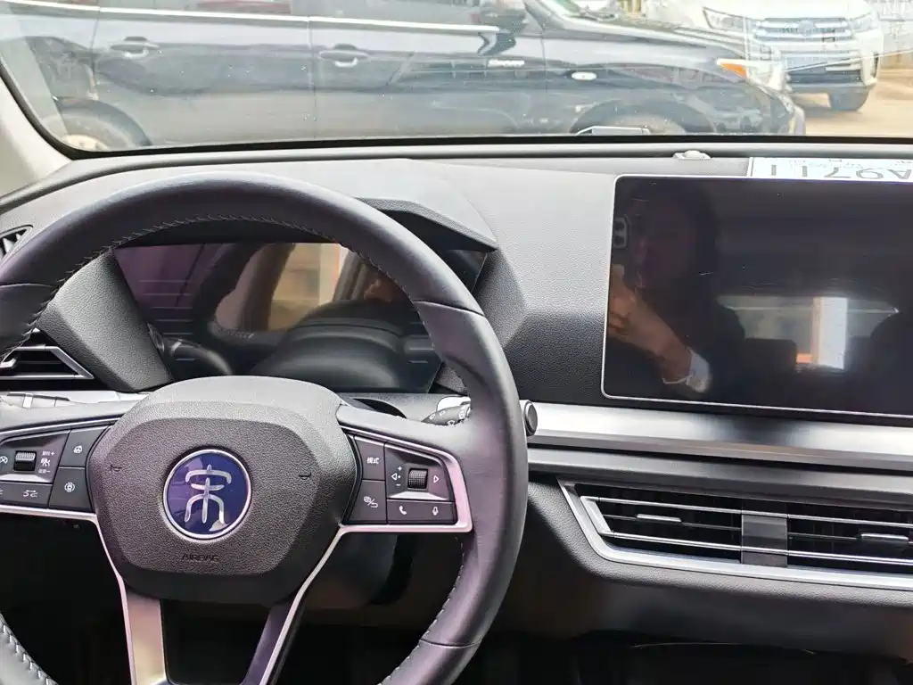 BYD Pro — миниатюра 6