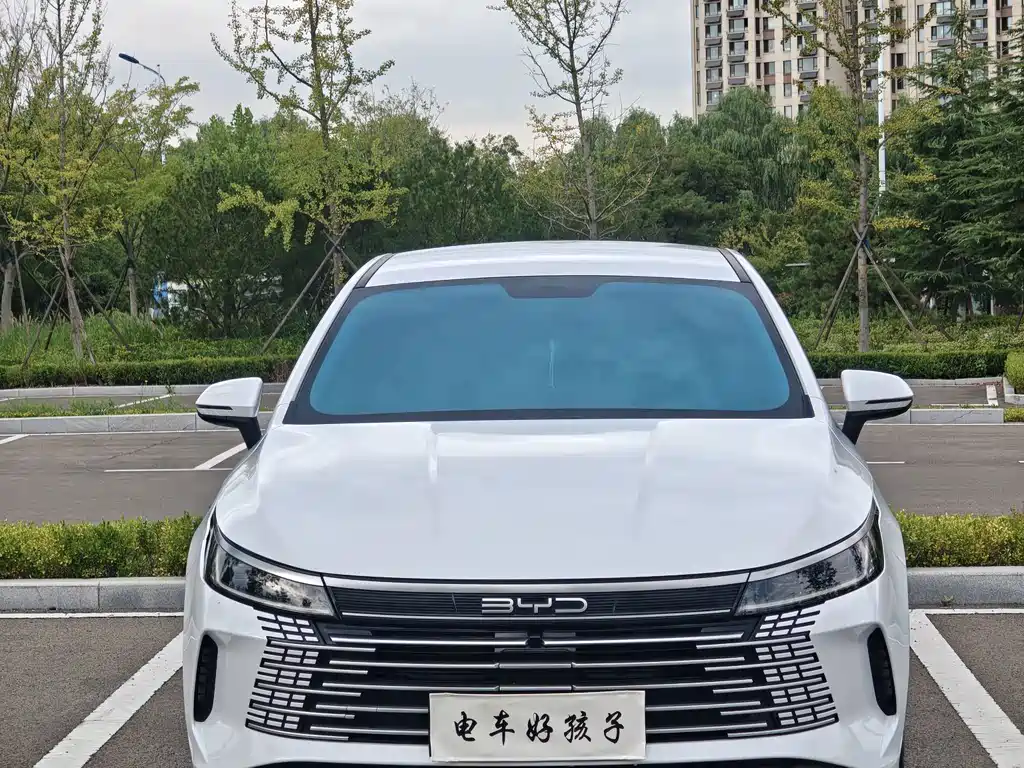 BYD Destroyer 05 — миниатюра 2