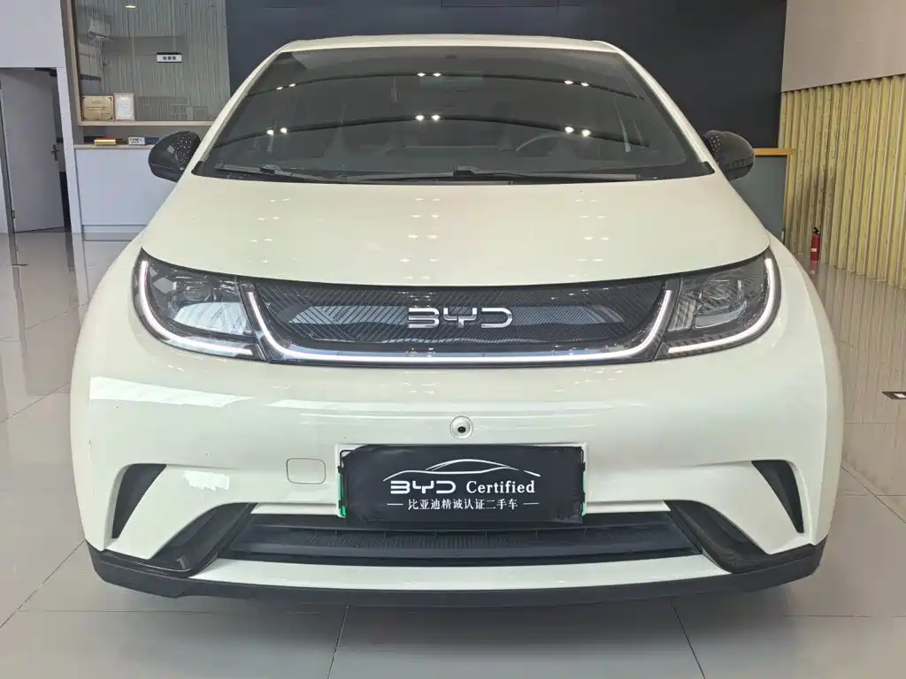 BYD Dolphin — миниатюра 2
