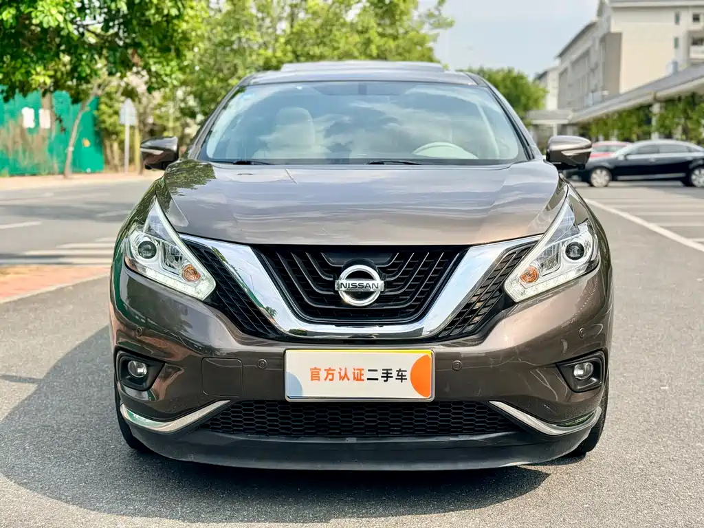 Nissan Murano 2019 2.5L XL Luxury VI