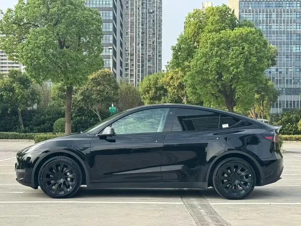 Tesla Model Y — миниатюра 3