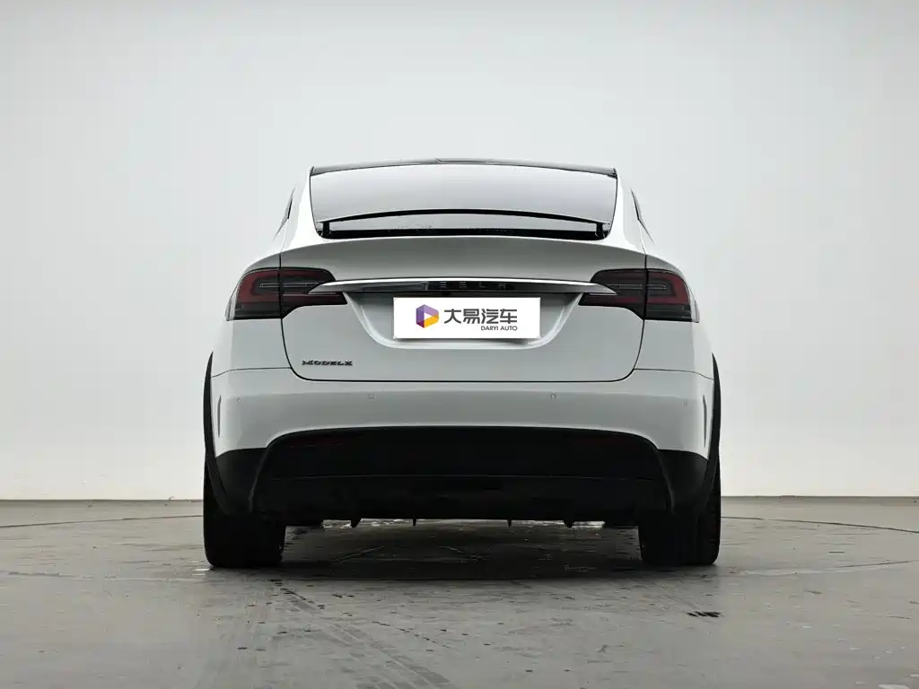 Tesla Model X — миниатюра 4