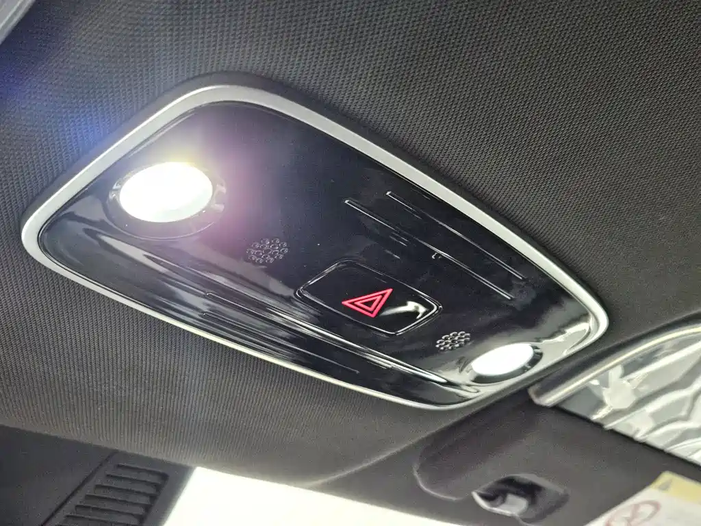 RUILAN AUTOMOBILE RUILAN 7