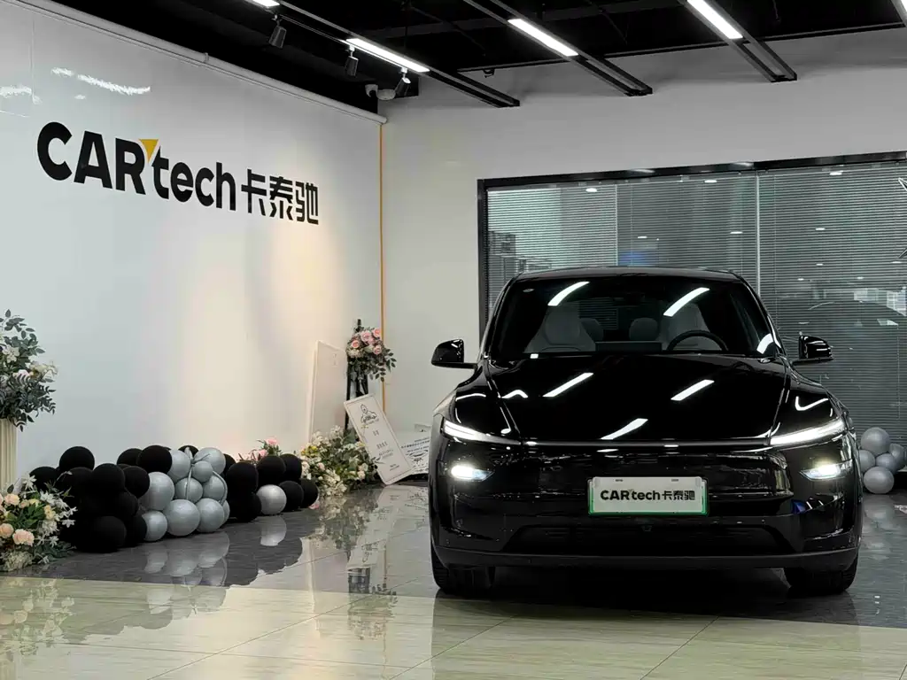 Tesla Model Y L — миниатюра 2