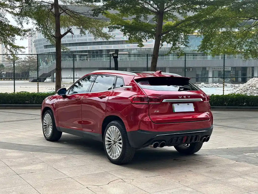 Wey Wey P8 — миниатюра 19