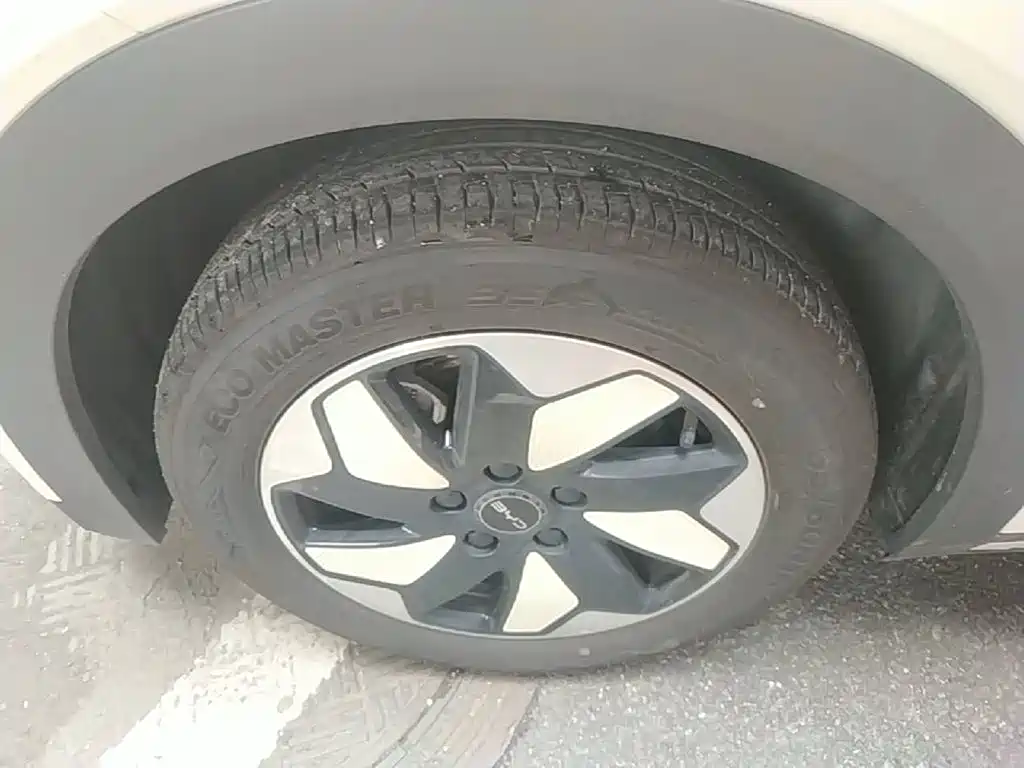 BYD Dolphin — миниатюра 25
