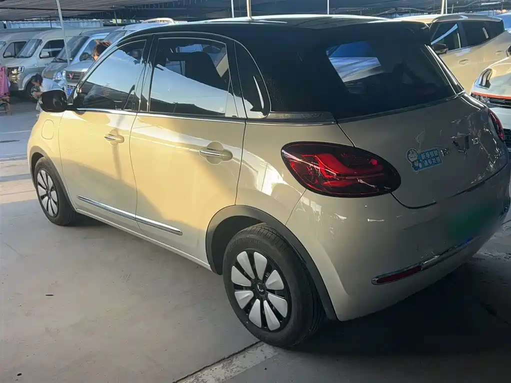 Wuling Binguo 2024 333km